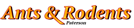 Paterson Ant Exterminator & Rodent Control Company Logo